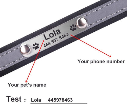 Reflective Personalized Dog Collar