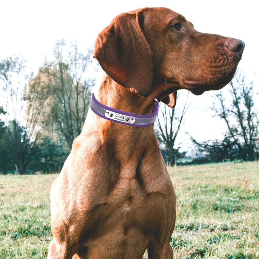 Reflective Personalized Dog Collar