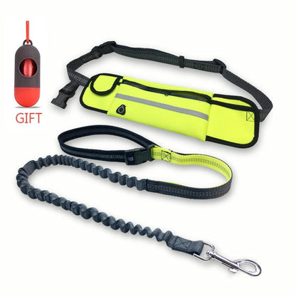 Running Dog Leash