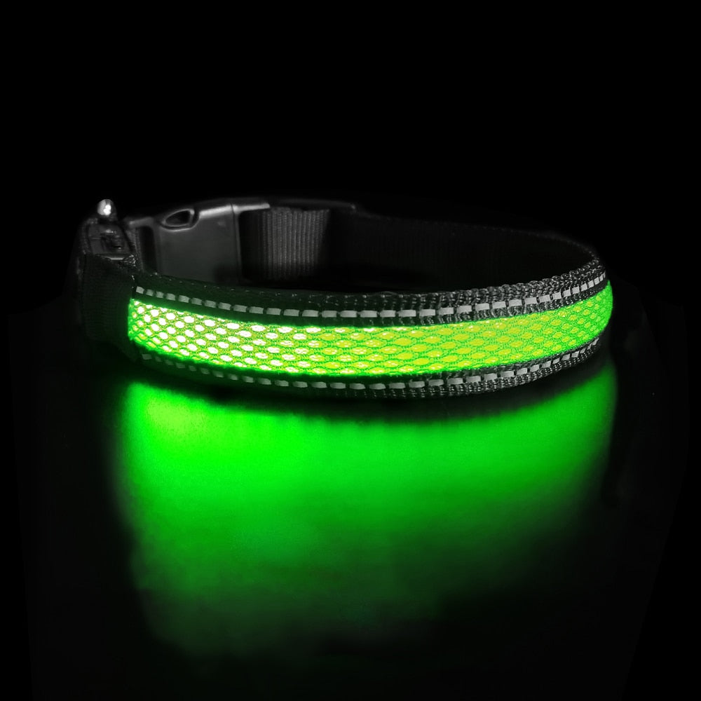 Stylish Flashing Glow Necklace LED Collar