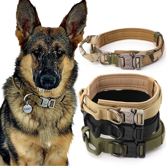 PETRAVEL Adjustable Tactical Dog Collar & Leash Set