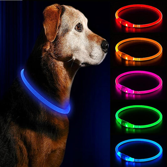 Led Night Safety Flashing Glow Collar