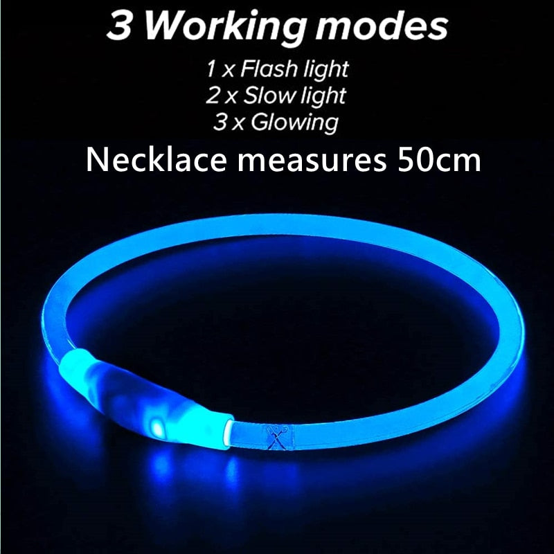 Led Night Safety Flashing Glow Collar