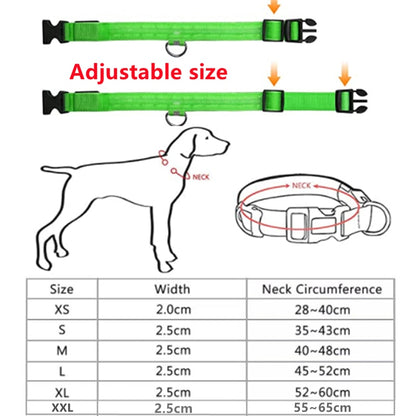 Adjustable Flashing Rechargeable Luminous Collar